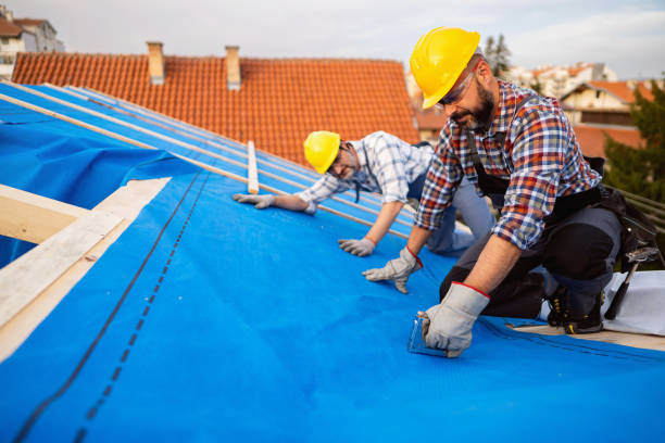Best Flat Roof Repair Services  in Prieville, NC